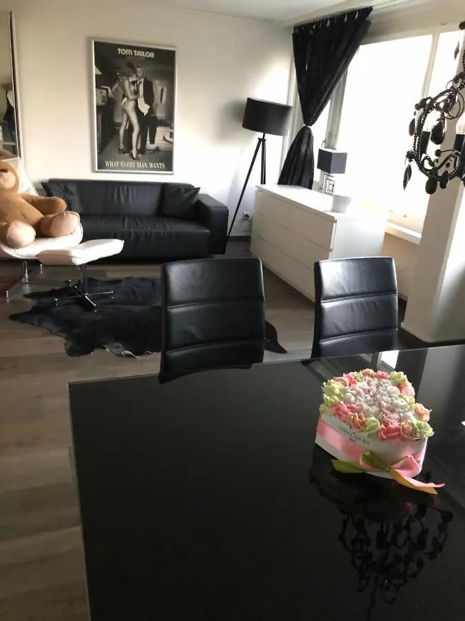 Studio Zürich Lägenhet